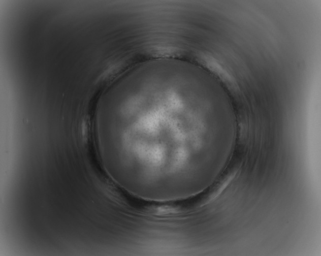 X0000093260165200710101505