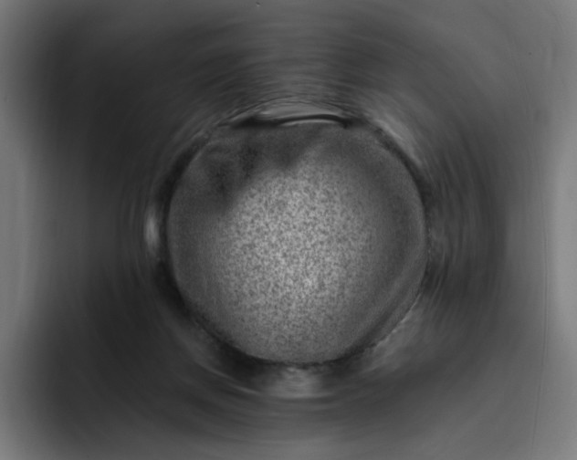 X0000093260166200710101505