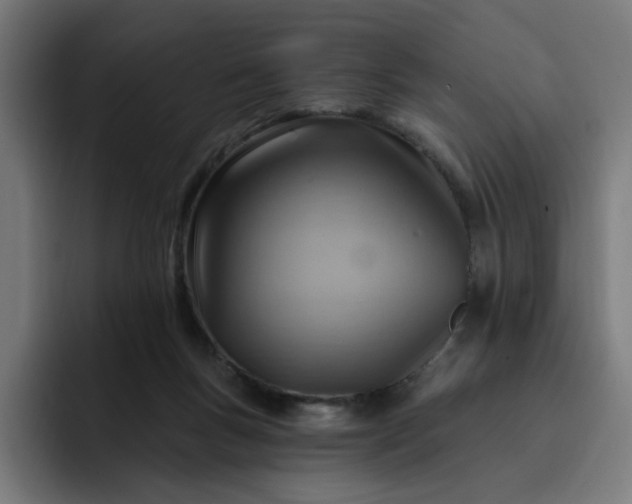 X0000093260167200710101505