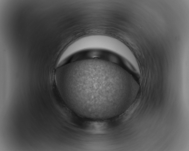 X0000093260168200710101505