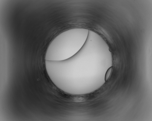 X0000093260169200710101505