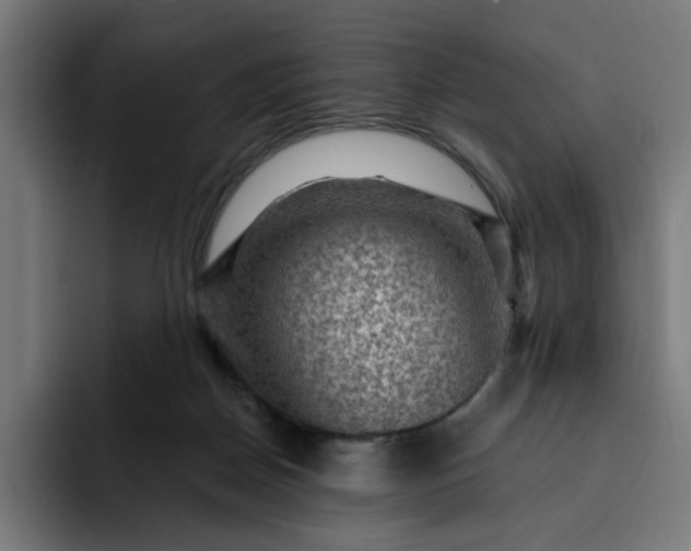 X0000093260170200710101505