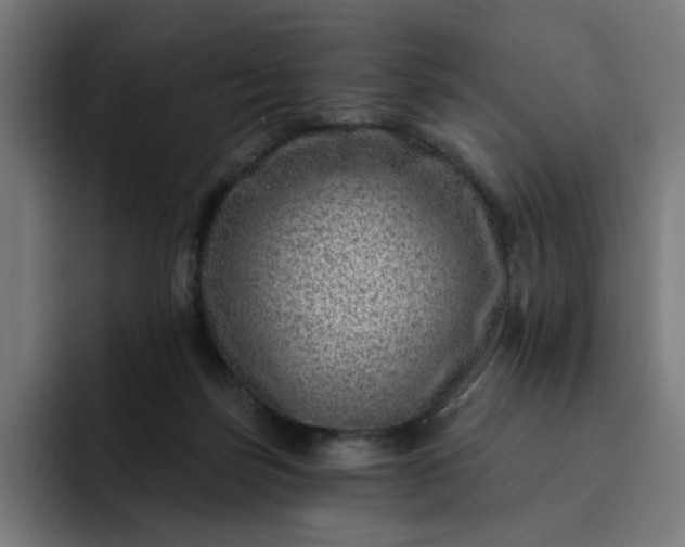 X0000093260171200710101505