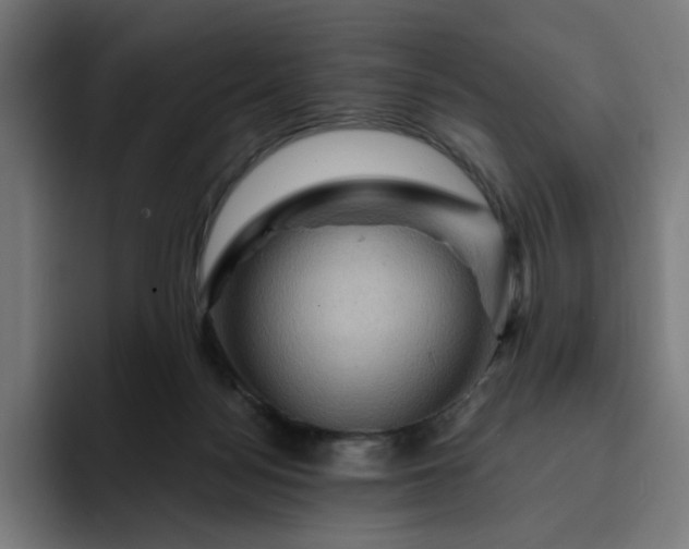 X0000093260172200710101505