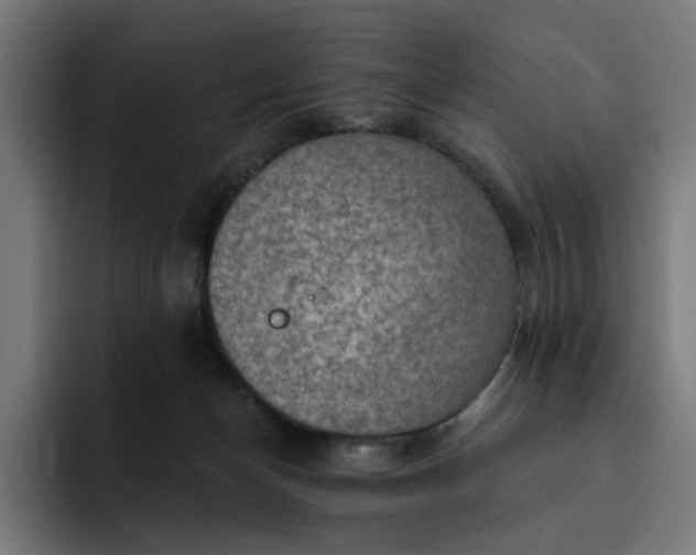 X0000093260174200710101505