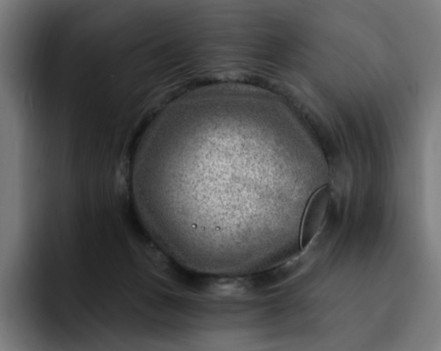 X0000093260175200710101505