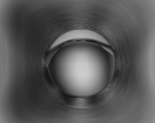 X0000093260176200710101505