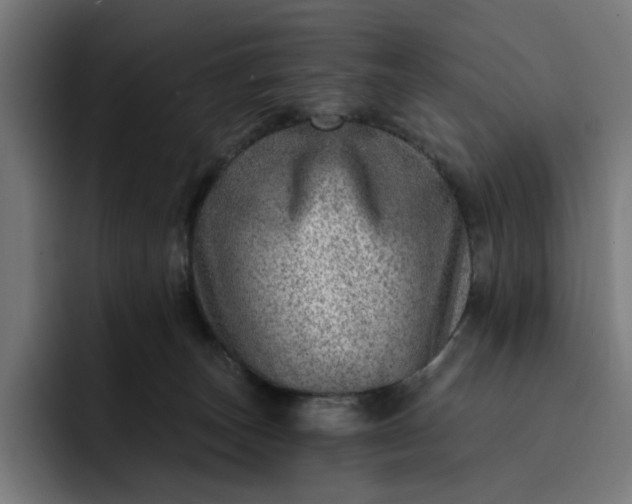 X0000093260179200710101505