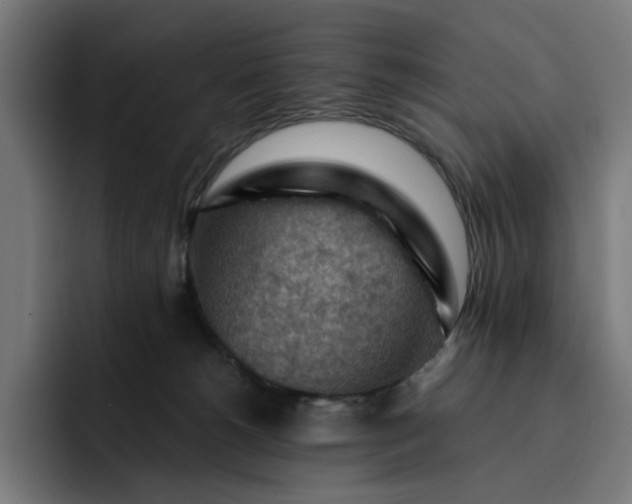 X0000093260180200710101505