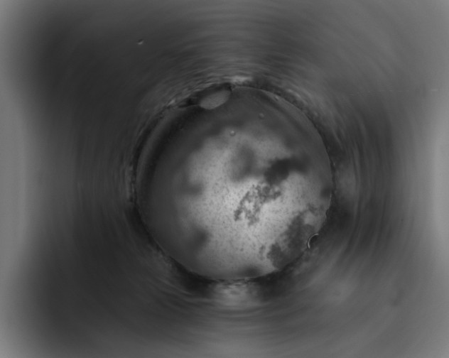 X0000093260181200710101505