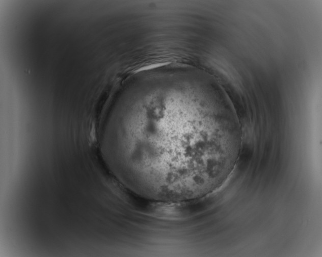 X0000093260182200710101505