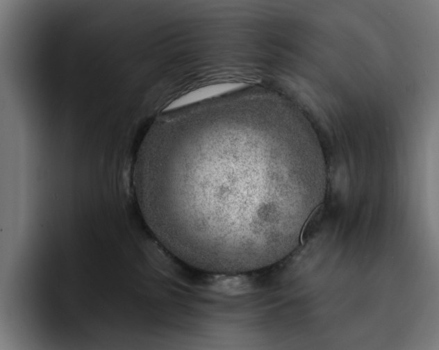 X0000093260185200710101505