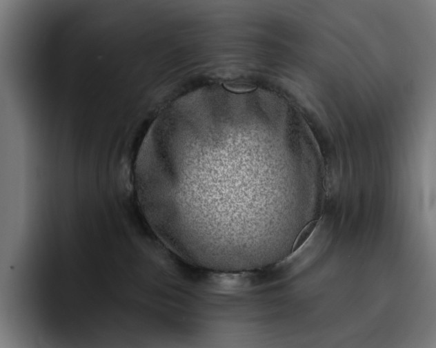 X0000093260187200710101506