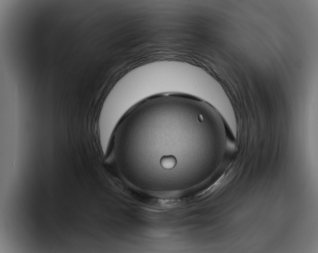 X0000093260188200710101506