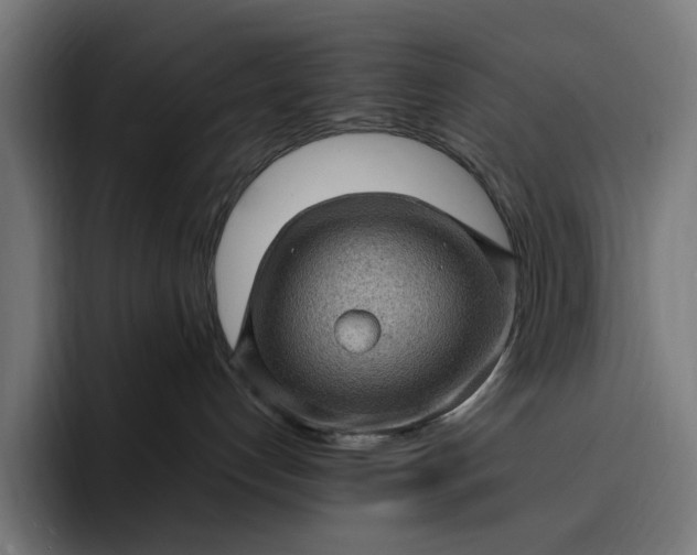 X0000093260192200710101506