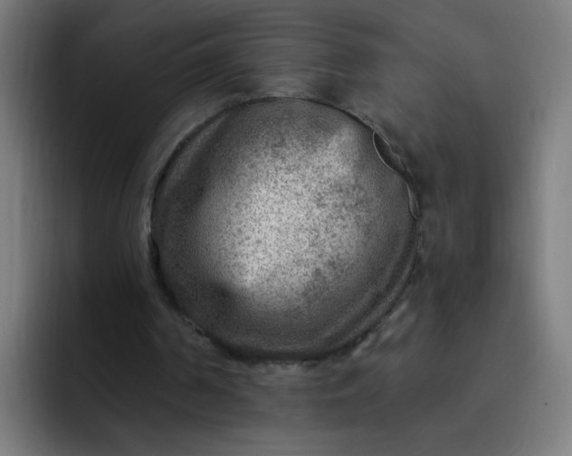 X0000093260194200710101505