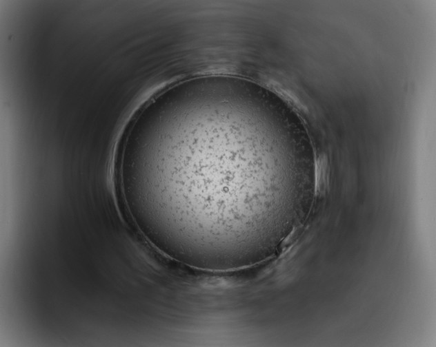 X0000093260195200710101505