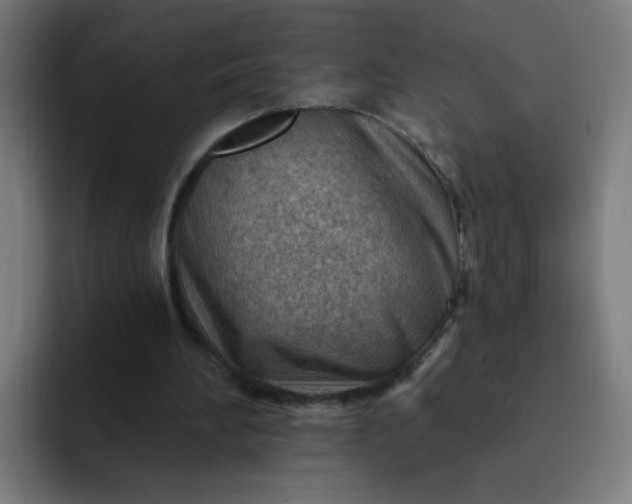 X0000093260196200710101505