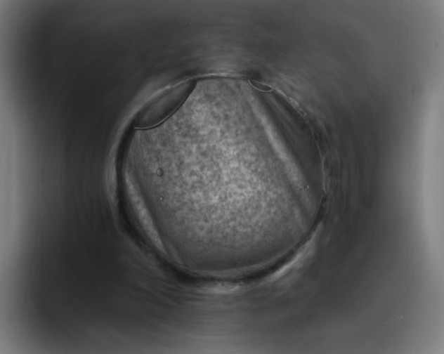 X0000093260198200710101505