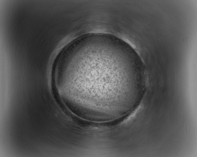 X0000093260199200710101505