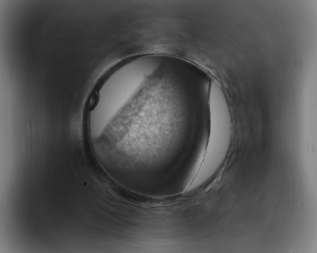 X0000093260200200710101505