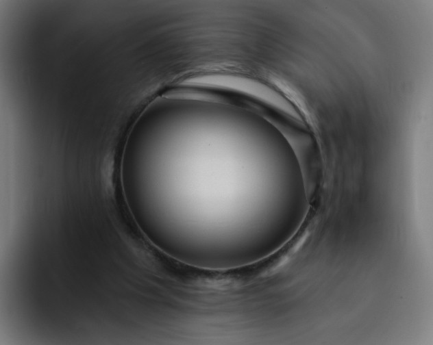 X0000093260201200710101505