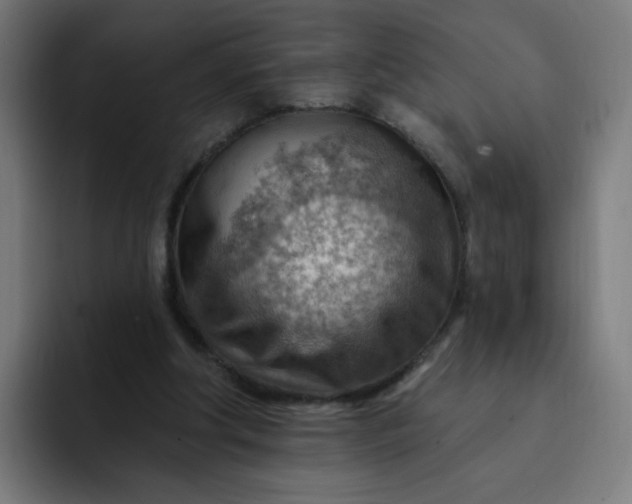 X0000093260202200710101505