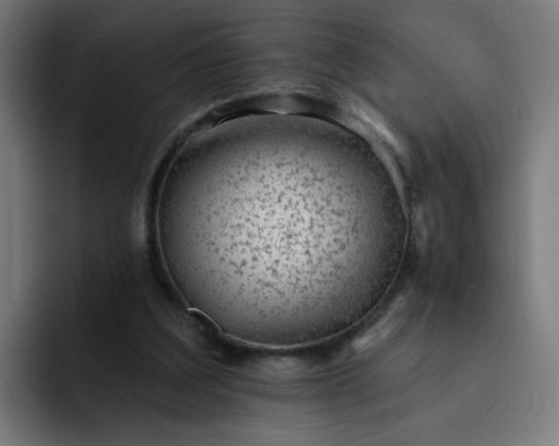 X0000093260203200710101505