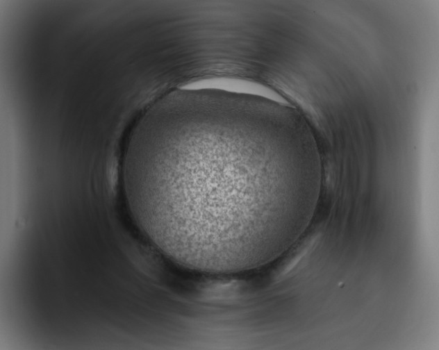 X0000093260206200710101505