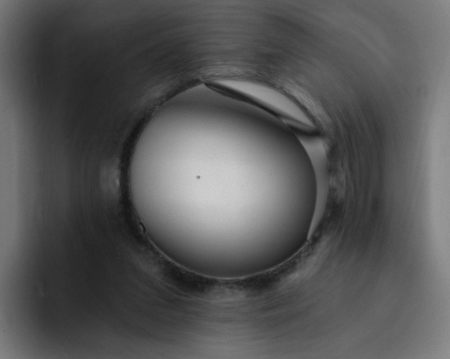 X0000093260207200710101505