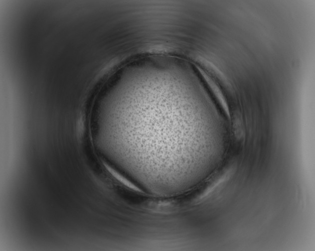 X0000093260208200710101505