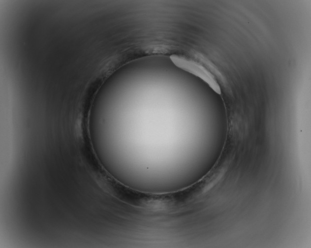 X0000093260209200710101505