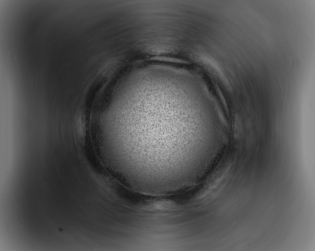 X0000093260210200710101505