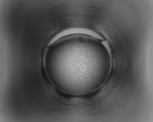 X0000093260211200710101505