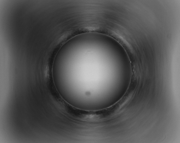 X0000093260212200710101505