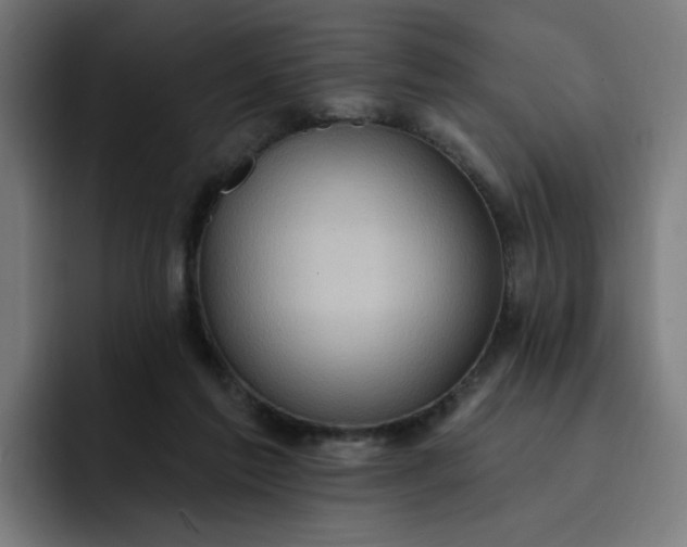 X0000093260213200710101505