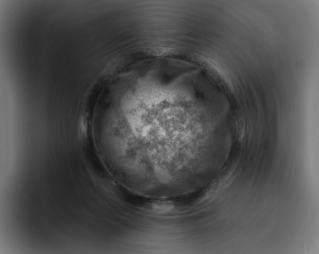 X0000093260214200710101505