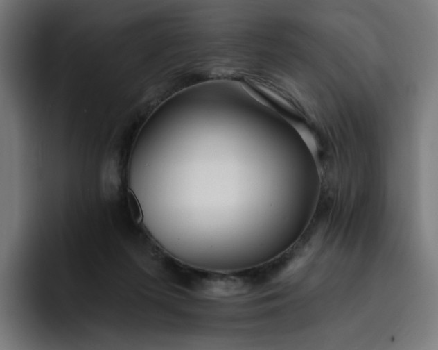 X0000093260215200710101505