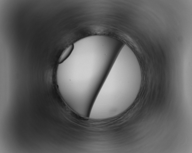 X0000093260217200710101505