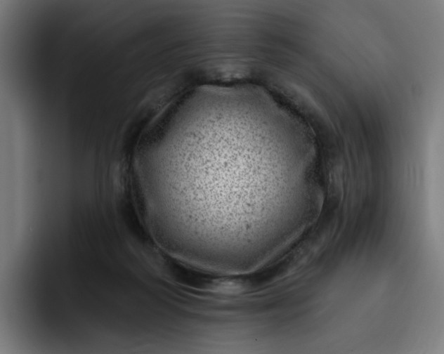 X0000093260218200710101505