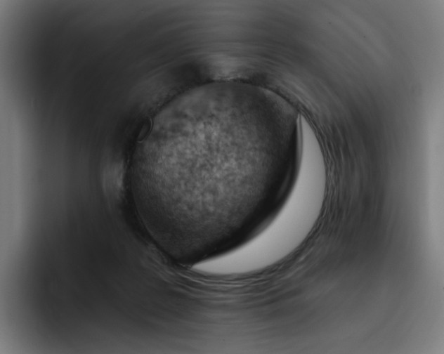 X0000093260219200710101505