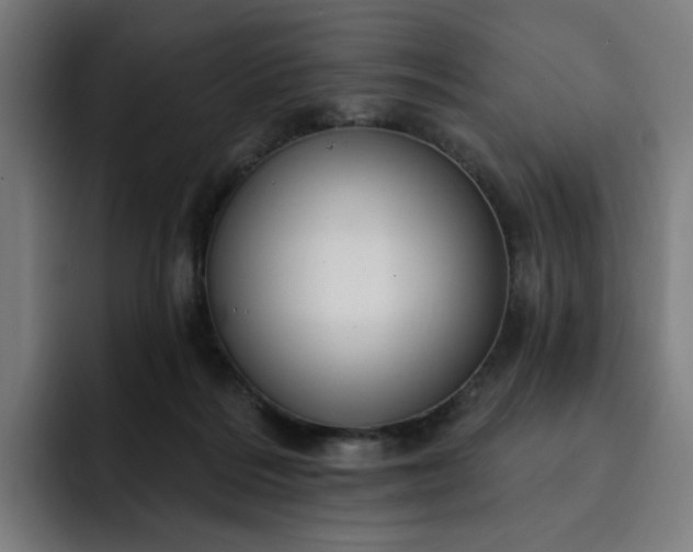 X0000093260220200710101505