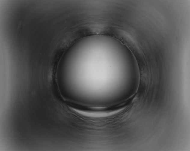 X0000093260221200710101505