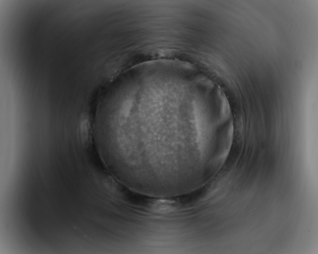 X0000093260222200710101505