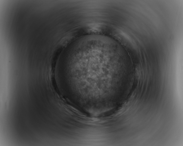 X0000093260223200710101505