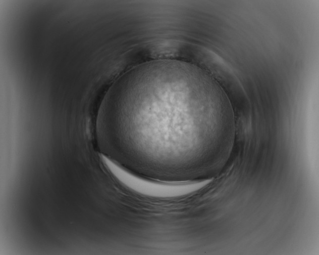 X0000093260224200710101505