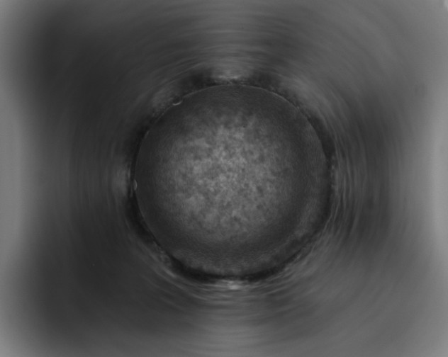 X0000093260227200710101505