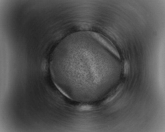 X0000093260228200710101505