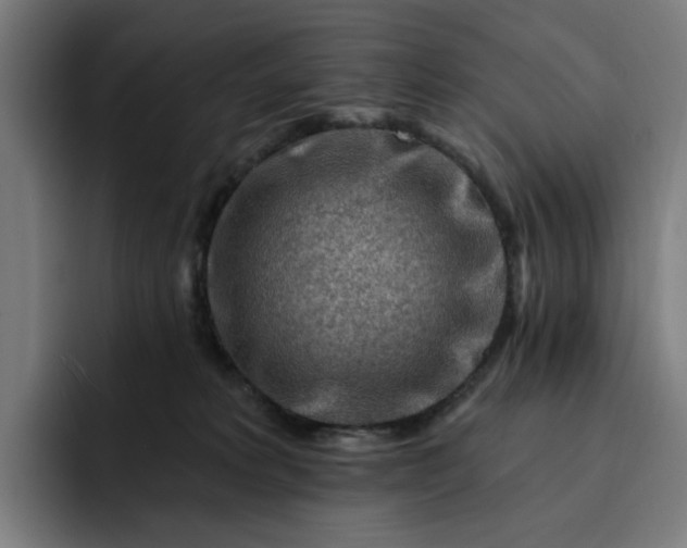 X0000093260229200710101505