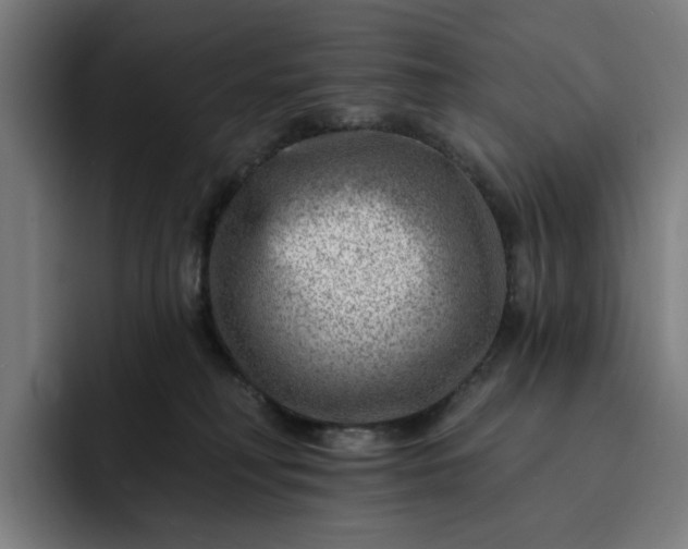 X0000093260230200710101505